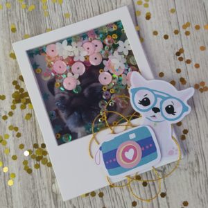 Tuto shaker polaroid