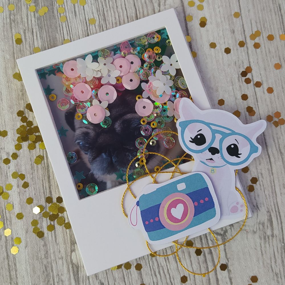 Tuto shaker polaroid